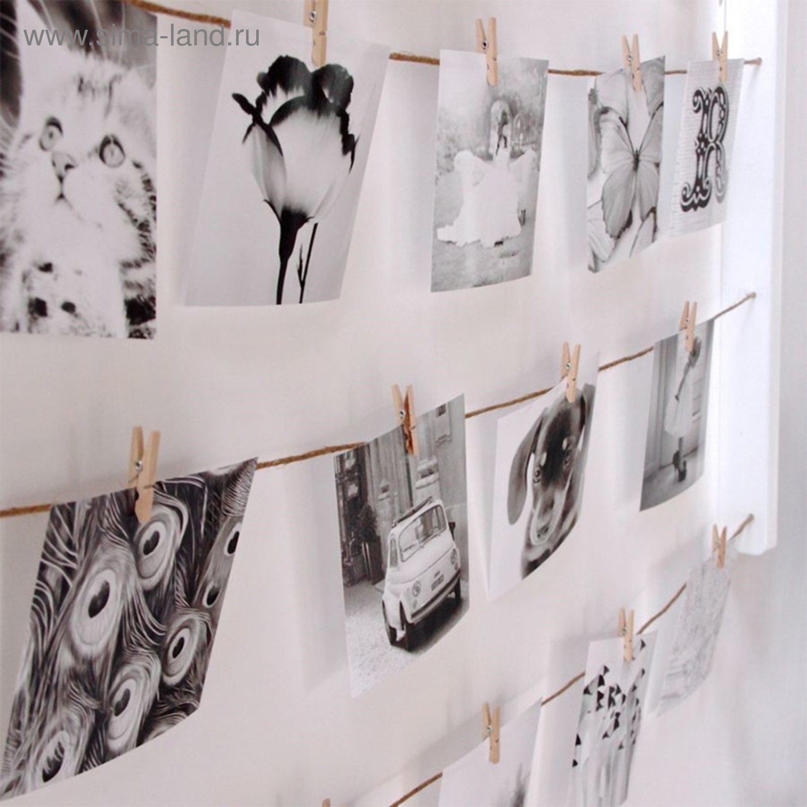 Фото на стене на прищепках Фото на стене на прищепках