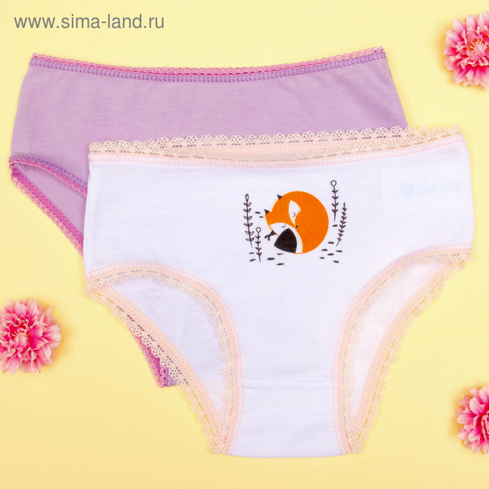 Набор трусов для девочки KAFTAN "Лисенок" 2 шт. рост 98-104 (30), 3-4 года 100% хлопок - Фото 1