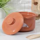 Горшок-сотейник «Гуси», 1 л - Фото 3