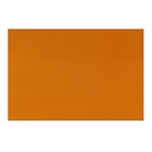 Картон цветн А1, плотность 230г/м2, односторонний, оранжевый - Фото 1