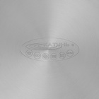 Кастрюля Катунь «Антея», 5 л, d=24 см, капсульное дно, индукция, нержавеющая сталь - Фото 6