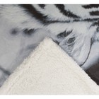 Плед ворсистый двусторонний 127х152 см Белый тигр, микрофибра 270 гр/м - Фото 3