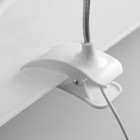 Лампа на прищепке «Свет» белый 13LED 1.5W провод USB 4×9×31.5 см RISALUX - Фото 7