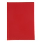Ежедневник недатированный А5, 80 листов «Красный», обложка бумвинил - Фото 1