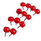 Счётный набор «Красные яблочки», 12 шт., яблоко: 3,5×3 см - Фото 3