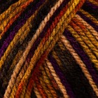 Пряжа "Crazy color" 25% шерсть, 75% акрил 260м/100гр (155) - Фото 3