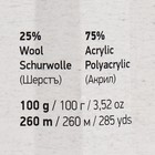Пряжа "Crazy color" 25% шерсть, 75% акрил 260м/100гр (155) - Фото 4