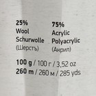 Пряжа "Crazy color" 25% шерсть, 75% акрил 260м/100гр (134) - Фото 4