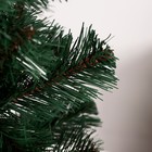 Искусственная ёлка «Европейская» 150 см, d нижнего яруса 102 см, 346 ПВХ ветки отгибаются - Фото 5