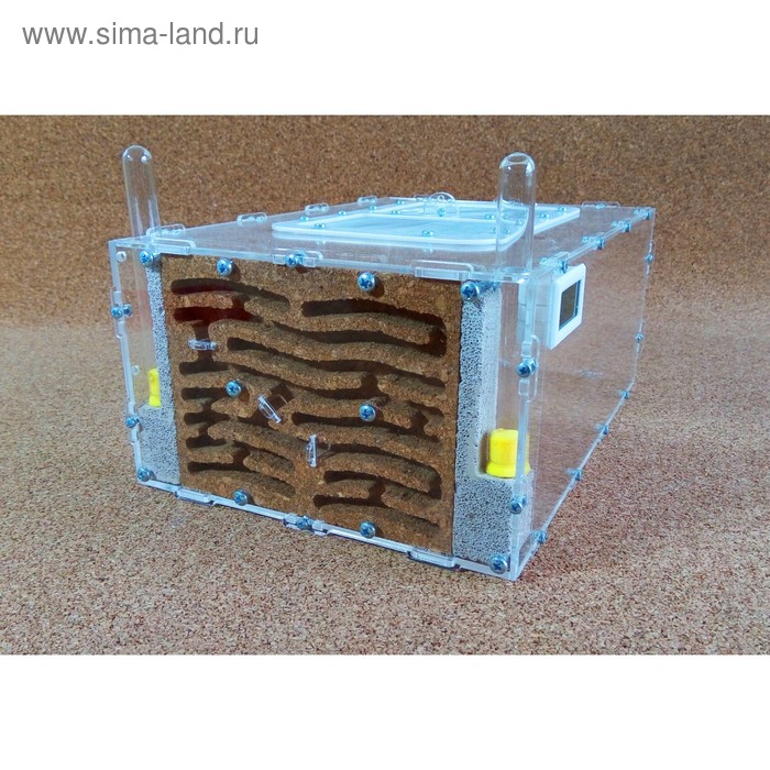 Муравьиная ферма C-Nest Large - Фото 1