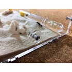 Муравьиная ферма Ponerinae-Nest Medium - Фото 5