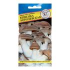 Мицелий грибов Вешенка «Королевская», 12 шт., «Престиж семена» - Фото 1