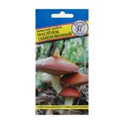 Мицелий грибов Маслёнок обыкновенный, 50 мл - фото 25022230