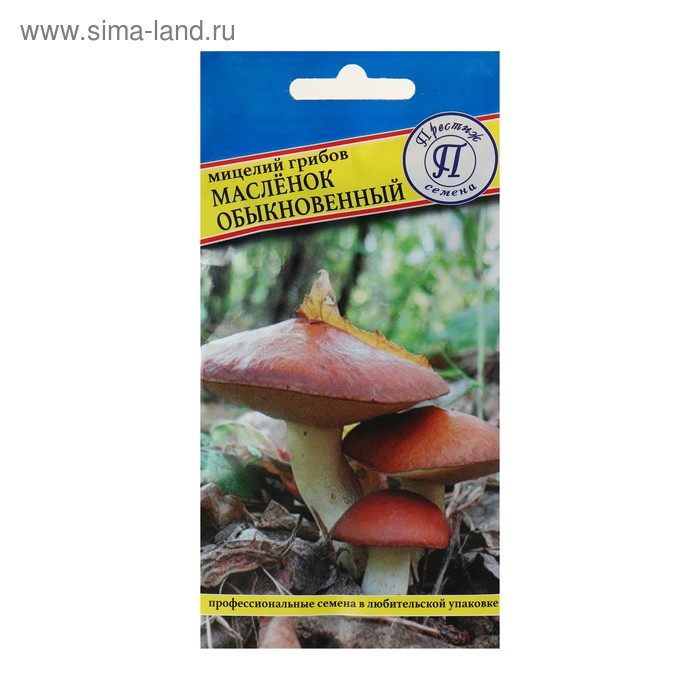 Мицелий грибов Маслёнок обыкновенный, 50 мл - Фото 1