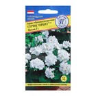 Семена комнатных цветов Герань «Белая», F1, 5 шт., «Престиж семена» - Фото 5