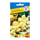 Мицелий грибов Шампиньон белый, 50 мл - Фото 1