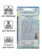 Семена комнатных цветов Герань "Скарлет", F1, 5 шт. - Фото 3