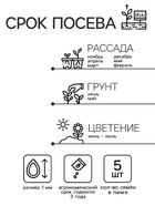 Семена комнатных цветов Гербера «Джеймсона», F1, 5 шт., смесь, «Престиж семена» - Фото 3