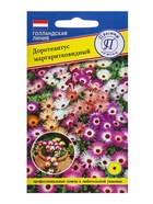 Семена цветов Доротеантус маргаритковый Смесь, О, 0,1 г - Фото 3