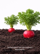 Семена Редис «Черриэт» F1, 1 г, «Престиж семена» - Фото 4