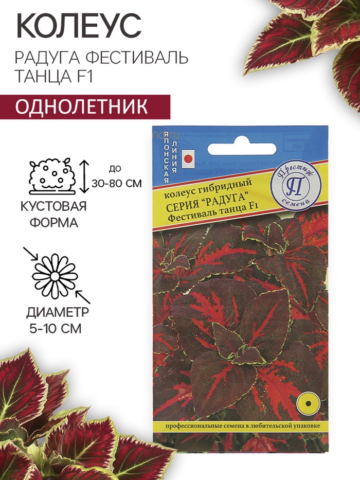 Семена цветов Колеус «Радуга - Фестиваль танца», F1, 10 шт., «Престиж семена» - Фото 1