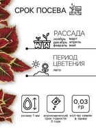 Семена цветов Колеус «Радуга - Фестиваль танца», F1, 10 шт., «Престиж семена» - Фото 2