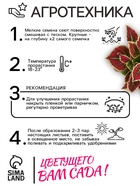 Семена цветов Колеус "Радуга" Фестиваль танца F1, О, 10 шт 2743687 - фото 16226333