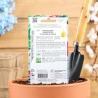 Семена цветов Цинерария "Серебряная пыль", О, 100 шт - Фото 2