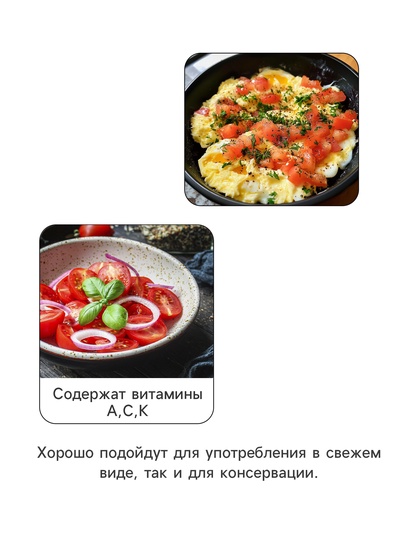 Семена Томат «Катя», F1, ультраранний, детерминантный, низкорослый, 7 шт., «Престиж семена»