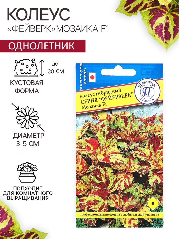 Семена цветов Колеус "Фейерверк" Мозаика F1, О, 10 шт - Фото 1