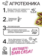 Семена цветов Колеус "Фейерверк" Мозаика F1, О, 10 шт - Фото 6