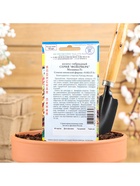 Семена цветов Колеус "Фейерверк" Мозаика F1, О, 10 шт - Фото 5