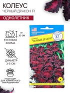 Семена цветов Колеус "Черный дракон" F1, О, 10 шт - Фото 1