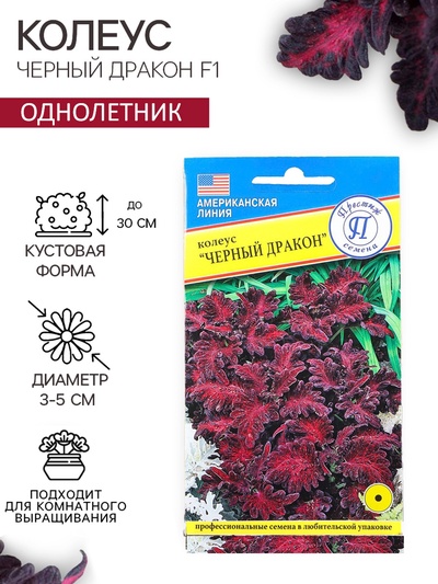 Семена цветов Колеус «Чёрный дракон» F1, 10 шт., однолетник, «Престиж семена»