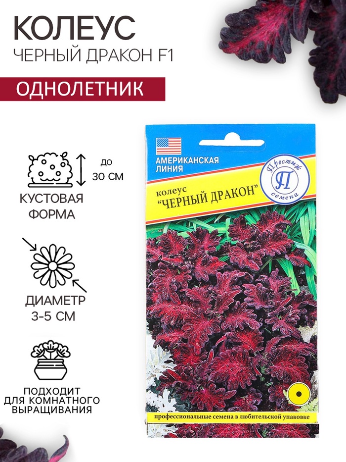 Семена цветов Колеус «Чёрный дракон» F1, 10 шт., однолетник, «Престиж семена» - Фото 1
