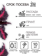 Семена цветов Колеус "Черный дракон" F1, О, 10 шт - Фото 3