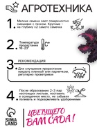 Семена цветов Колеус «Чёрный дракон» F1, 10 шт., однолетник, «Престиж семена» - Фото 5