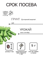 Семена Фасоль овощная «Серенгети», 5 г, «Престиж семена» - Фото 2