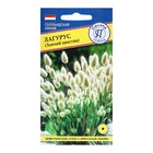 Семена цветов Лагурус (заячий хвостик), О, 10 шт - Фото 3