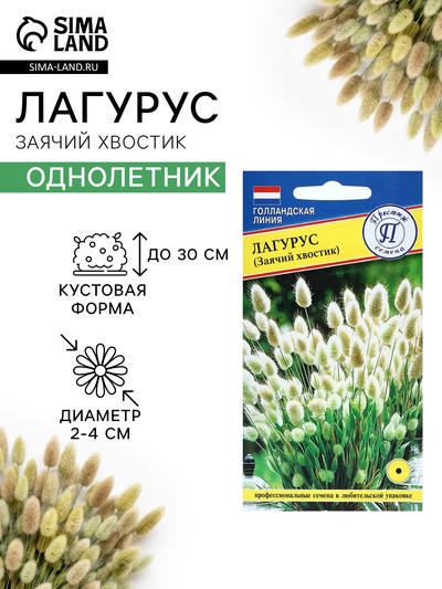 Семена цветов Лагурус «заячий хвостик», однолетник, 10 шт.