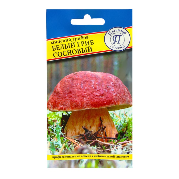 Мицелий Белый гриб сосновый, 50 мл - Фото 1
