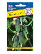 Семена огурца «Династия», F1, 5 шт. - Фото 1