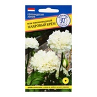 Семена цветов Мак пионовидный махровый "Крем", О, 0,1 г - Фото 3