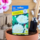 Семена цветов Мак пионовидный махровый "Крем", О, 0,1 г - Фото 1