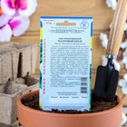 Семена цветов Мак пионовидный махровый "Крем", О, 0,1 г - Фото 2