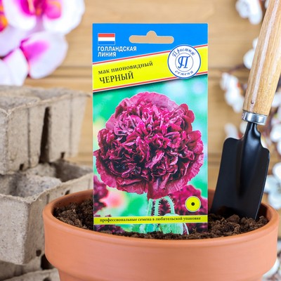 Семена цветов Мак пионовидный махровый "Черный", О, 0,1 г