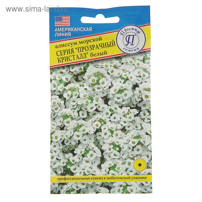 Алиссум семена фото Алиссум семена фото