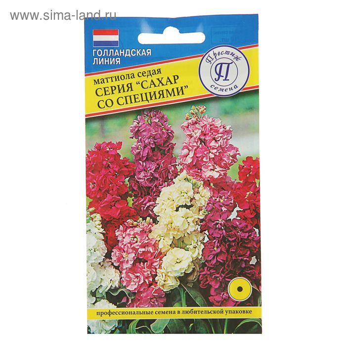 Маттиола семена как выглядят Маттиола семена как выглядят