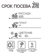Семена комнатных цветов Пеларгония «Саммертайм», Смесь, F1, 5 шт., «Престиж семена» - Фото 3