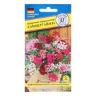 Семена комнатных цветов Пеларгония «Саммертайм», Смесь, F1, 5 шт., «Престиж семена» - Фото 5